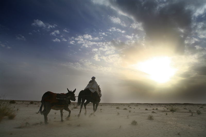 Back desert. Ибн баттута паломничество в Мекку. Journey to Mecca.